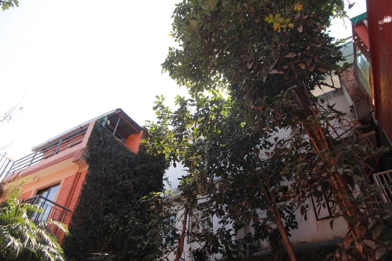 Ojas Wellness B&B Lalitpur Экстерьер фото